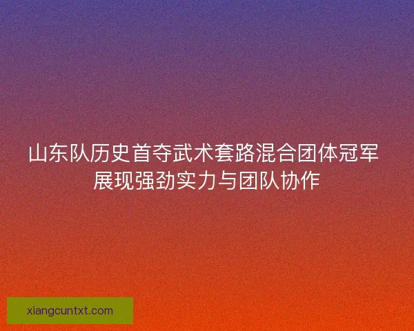 山东队历史首夺武术套路混合团体冠军 展现强劲实力与团队协作
